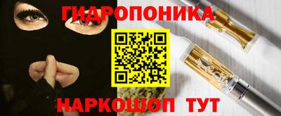 стаф Свободный